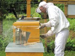 Bei den Bruchseebienen. Foto: Claudia Dirr