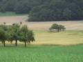 Guter Ackerboden muss für die Landwirtschaft erhalten bleiben