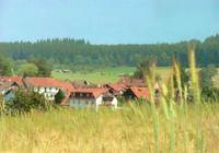 Naturschutzgebiet "Grasellenbacher Wiesen" mit Wohnsiedlung im Vordergrund und dem Gelände für die geplante Holzhackschnitzelanlage im Hintergrund, auf der Wiesenfläche vor dem Waldrand.