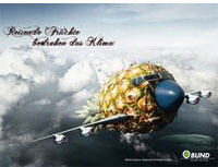 Flugzeug in Form einer Ananas. Überschrift: Reisende Früchte bedrohen das Klima. Unterzeile: Global denken, Regionale Produkte kaufen.
