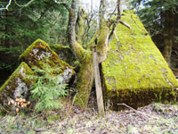 Gesprengter Bunker im Wald